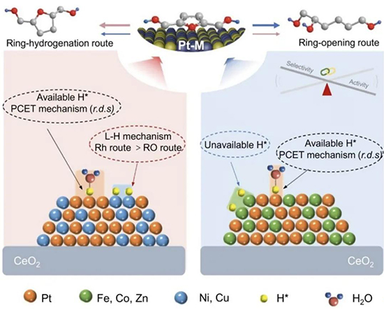 1740638325244497MzJn.jpg 宁波2.jpg