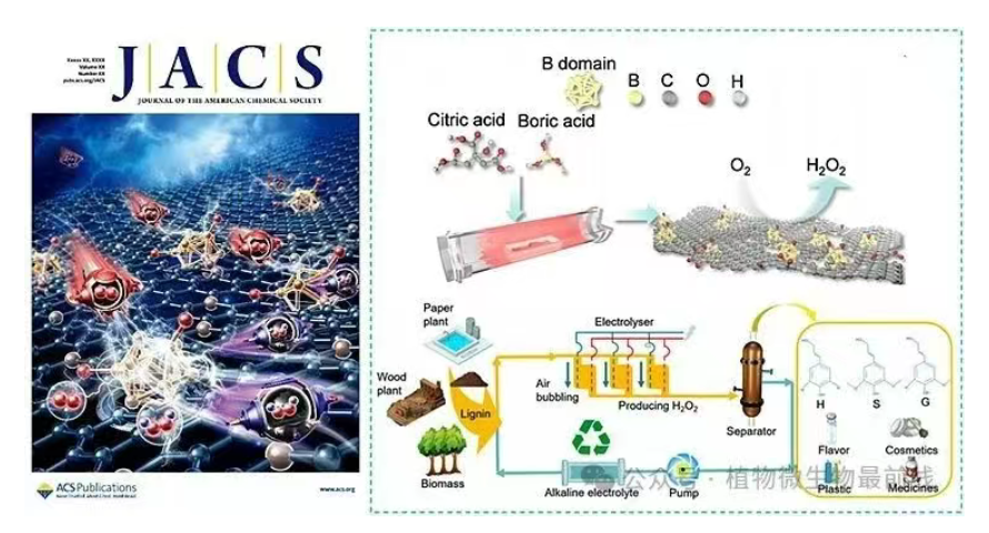 1755827498353579ZkeW.png image.png