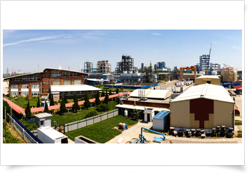 1619770317546904uV2T.png image.png