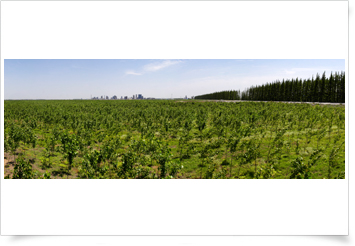 1619770418764219cQ1X.png image.png