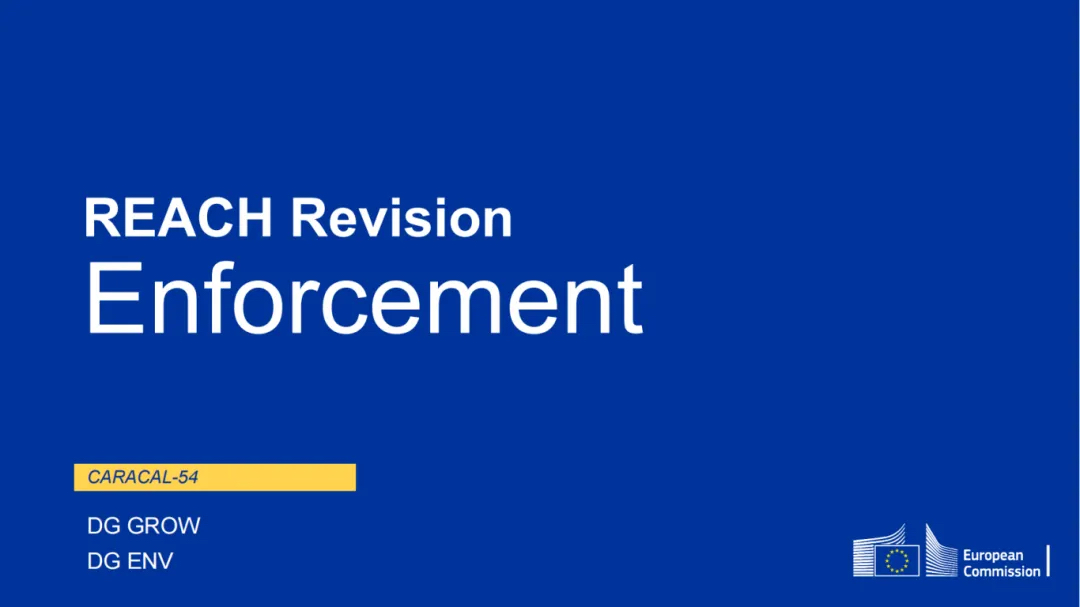 《化学品注册、评估、授权和限制条例》（REACH）